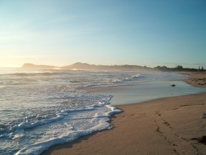 Tuncurry Beach Walk (14)